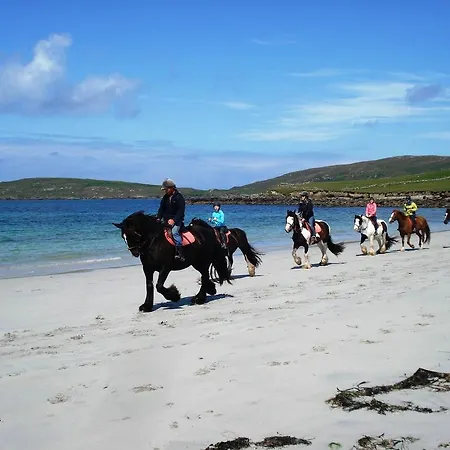 Creeve House Clifden
